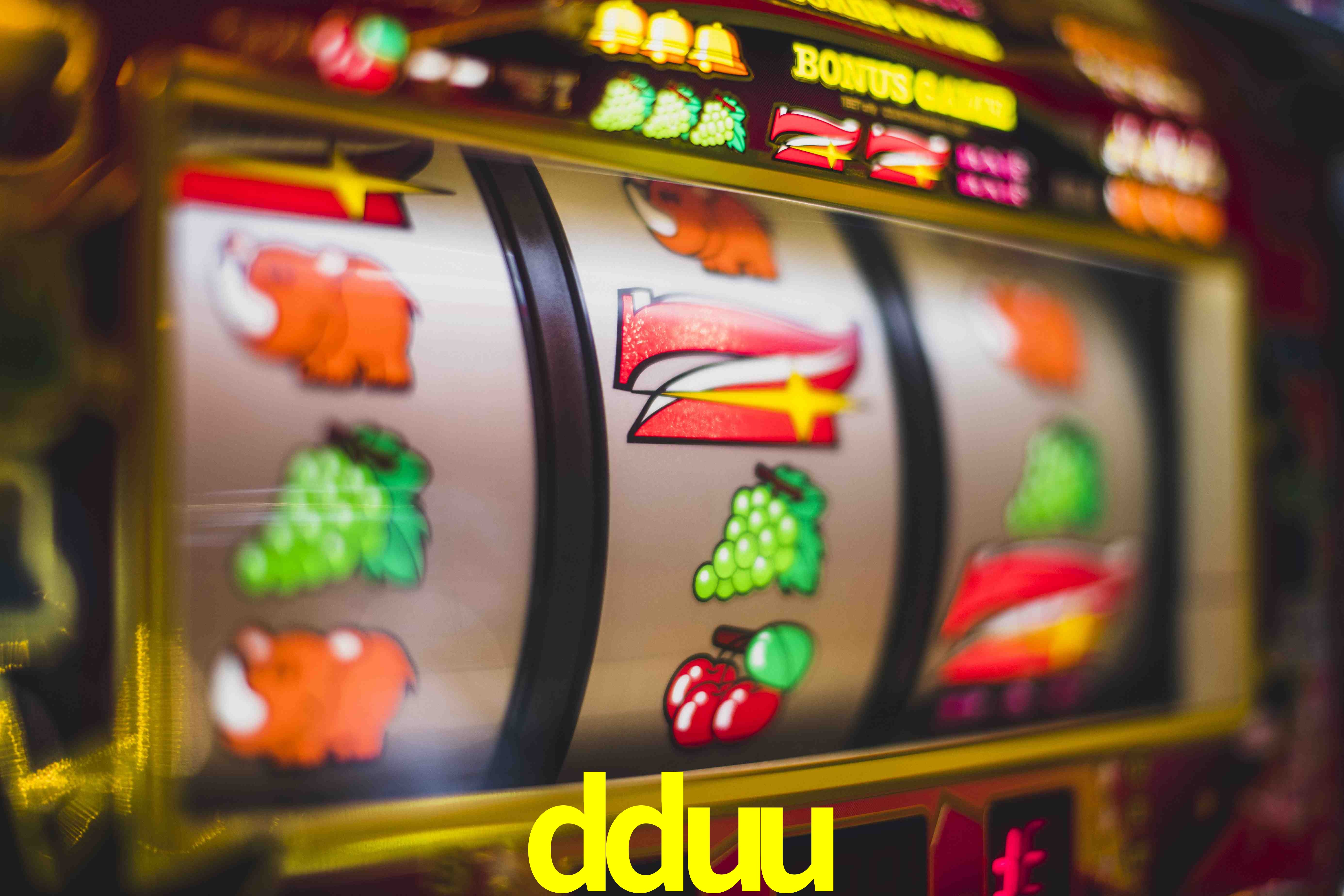 Live Casino dduu